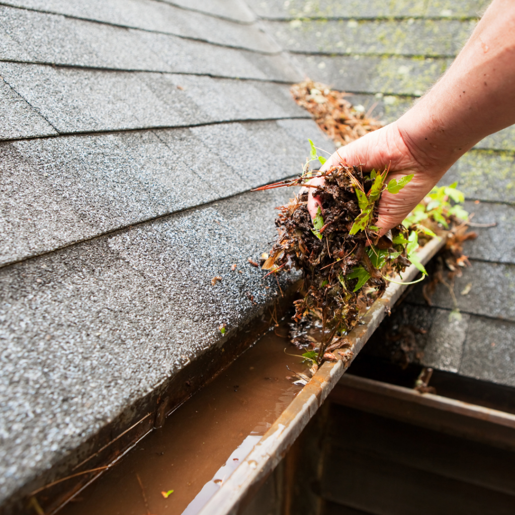 RAIN GUTTER SYSTEM FLUSH