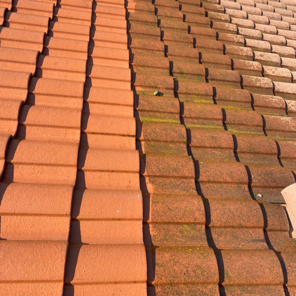 ROOF CLEANING